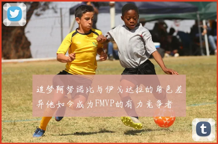 追梦阿努诺比与伊戈达拉的角色差异他如今成为FMVP的有力竞争者