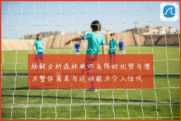 杨毅分析森林狼四高阵的优势与潜力整体高度与运动能力令人惊叹